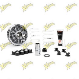 Malossi Variator Multivar...