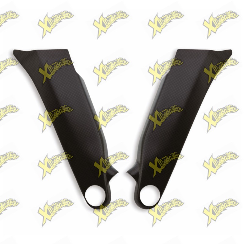 Protezioni Telaio in Carbonio Ducati Panigale V4 96981291AA