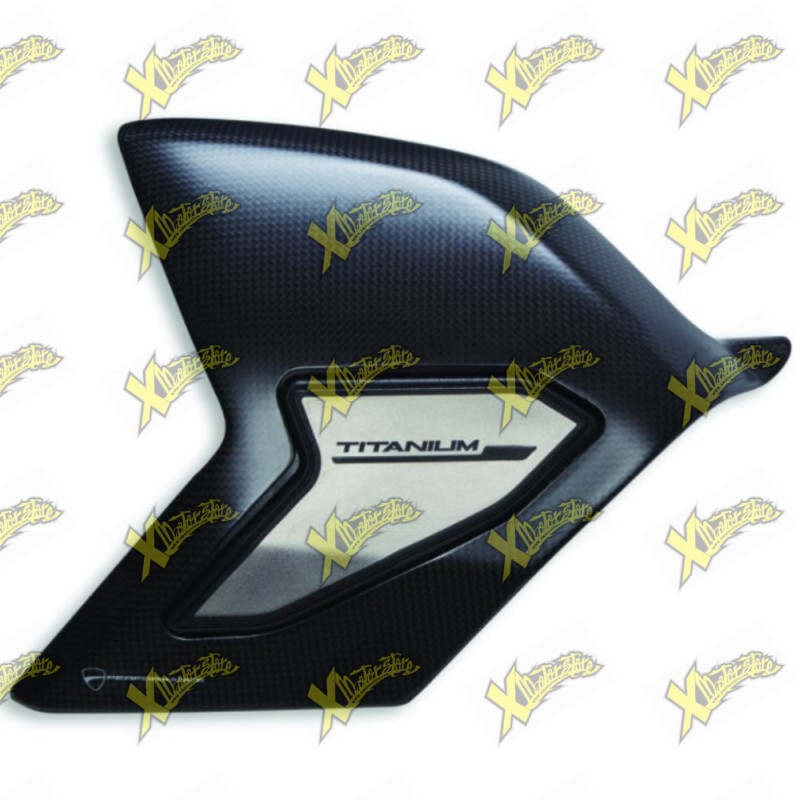 Carbon and Titanium Swingarm Cover Ducati Panigale V4 96989991B