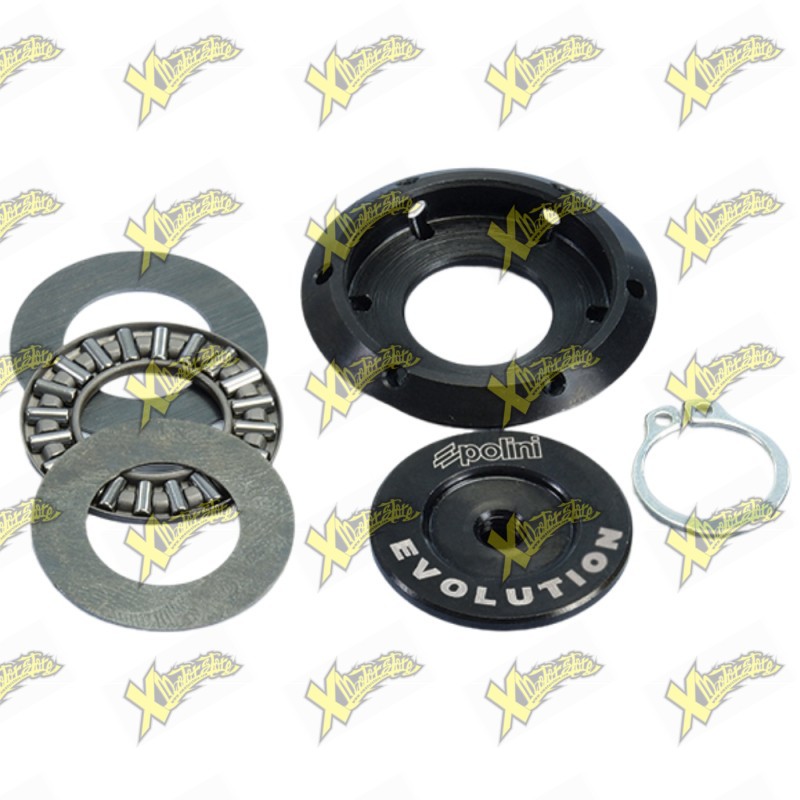 Polini Evolution Clutch Pressure Plate Vespa 50 125 230.0409