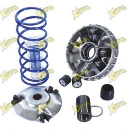 Variatore Polini Maxi HI-Speed SYM 125 AIR Euro 5+ 241.769