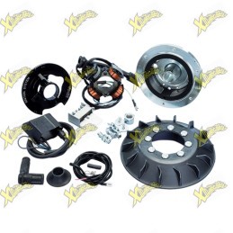 Accensione Polini For Race Vespa PK 50 e Ape 50 3 Fili Ø20 171.0561