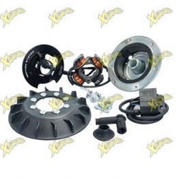 Accensione Polini For Race Vespa PK 50 e Ape 50 5 Fili Ø20 171.0563