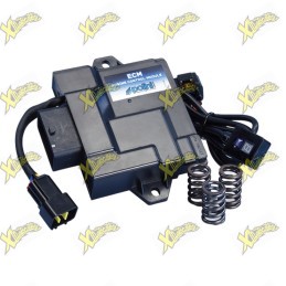 Centralina ECM Polini per Piaggio / Vespa 50 Euro 5 2025 TFT – Codice 171.0025