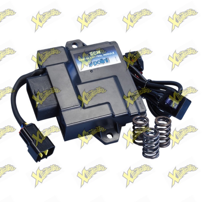 Centralina ECM Polini per Piaggio / Vespa 50 Euro 5 2025 TFT – Codice 171.0025