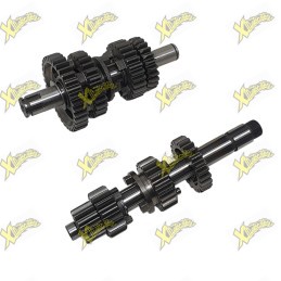 Kit cambio completo Ohvale 190/212 4S 01.SD.0706.L