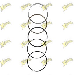 Kit fasce elastiche Ohvale 190 01.SD.0312.L