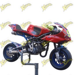 Minimoto DM usata con motore Polini 6,2 HP