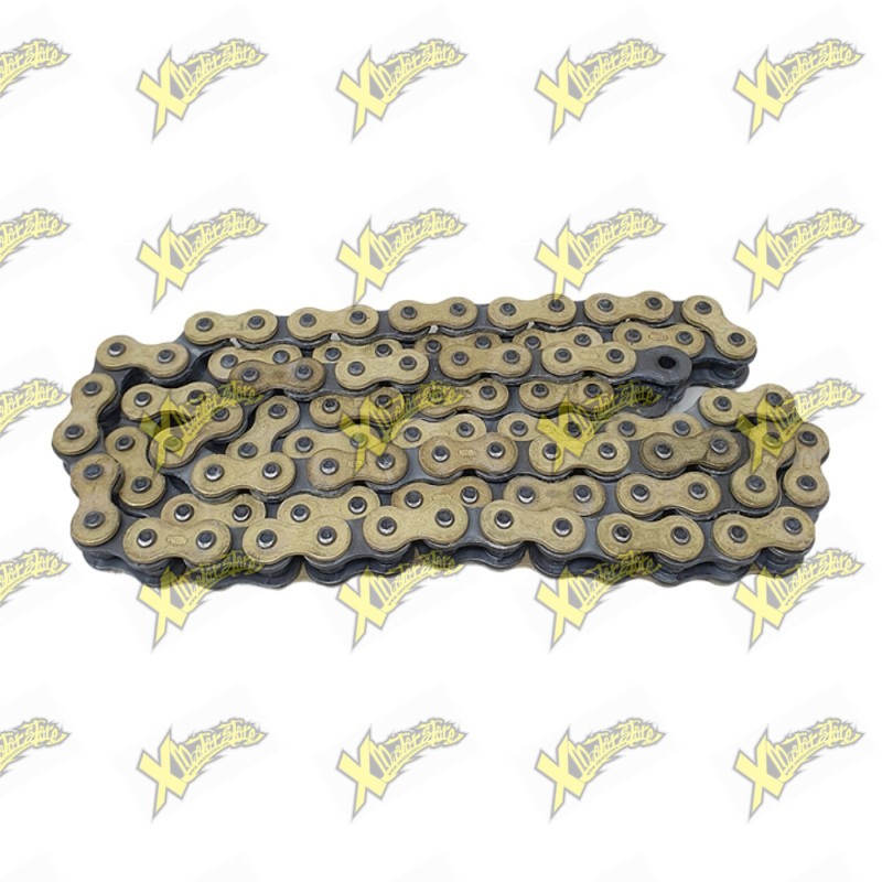 Catena Ohvale Gp-0 regina 420 L98 110/160 EVO 01.TR.0020.L