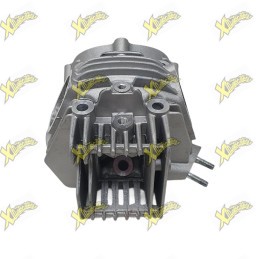 Ohvale Cylinder head assy 01.SW.0108.L