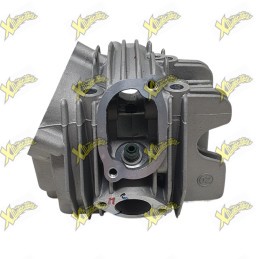 Testa Ohvale 160 4S 01.SW.0108.L