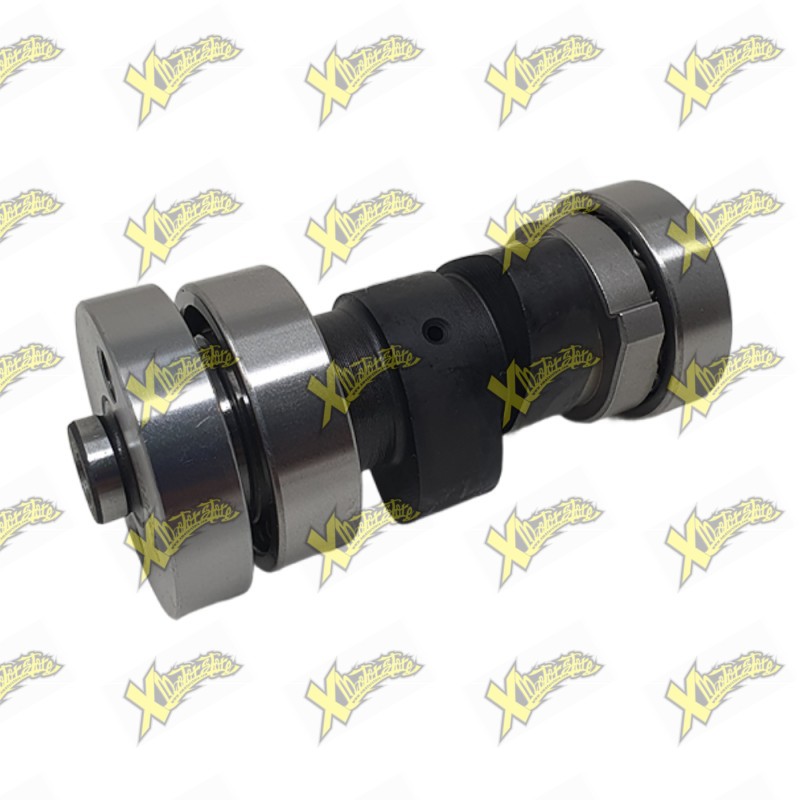 Ohvale Gamp shaft complete 01.SW.0201.L