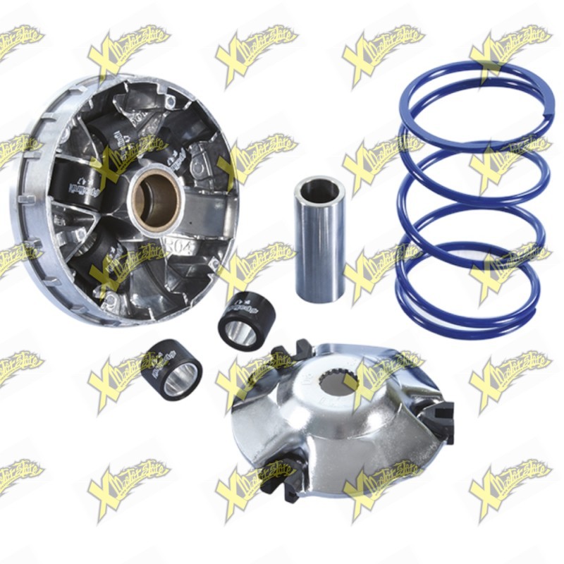 Polini Hi-Speed Variator Piaggio Liberty 50 i-GET 4T 4V – 241.773