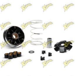 Variatore Malossi Multivar 2000 per Scooter 4T 50 cc – 5120225