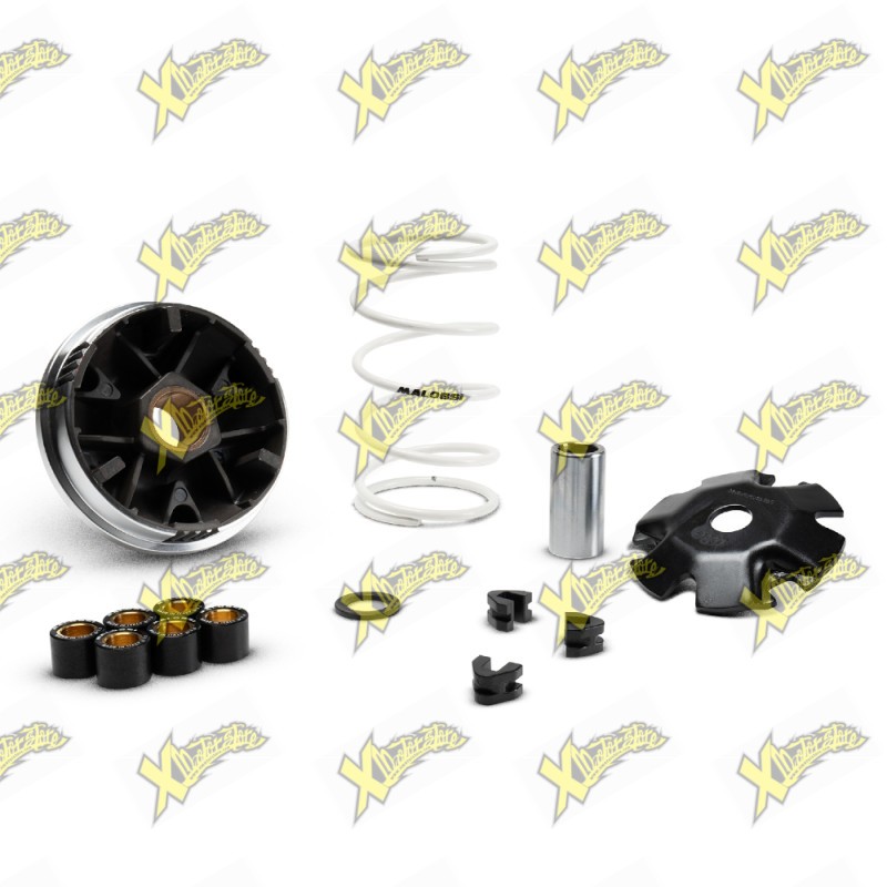 Variatore Malossi Multivar 2000 per Scooter 4T 50 cc – 5120225