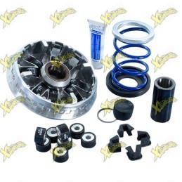 Polini Maxi Hi-Speed Variator for SYM ADX TG 400 Euro 5 Plus 241.774