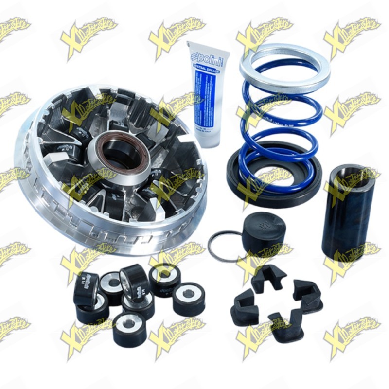 Polini Maxi Hi-Speed Variator for SYM ADX TG 400 Euro 5 Plus 241.774