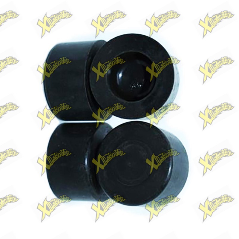 Ohvale Kit front caliper pistons 01.IF.0071.L