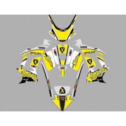 Adevi DM 2017 grafica completa