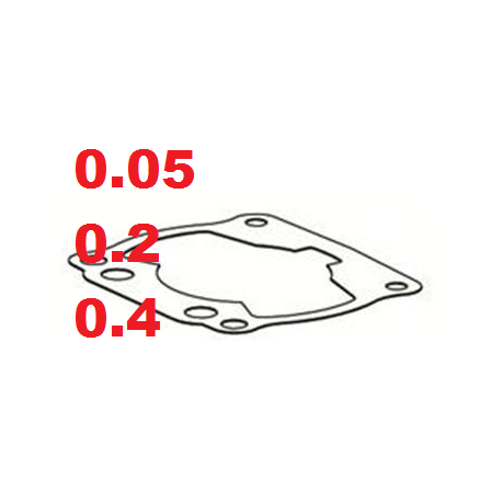 SEAL CYLINDER 5PZ IAME ( SELECT MEASURE )