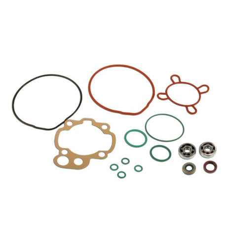 Skf bearing kit and Minarelli Am6 cylinder gaskets