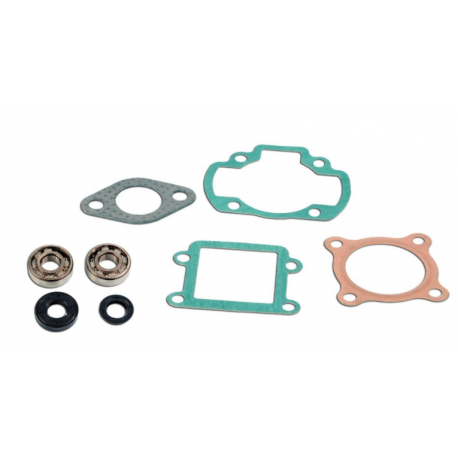 Kit cuscinetti Skf + guarnizioni cilindro Booster Kit cuscinetti Skf + guarnizioni cilindro Booster