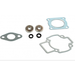 Skf Bearing Kit + Piaggio air cylinder seals