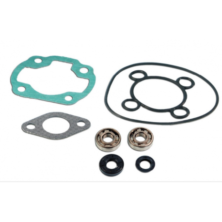 Kit cuscinetti Skf + guarnizioni cilindro Nitro