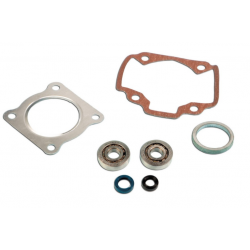 Kit cuscinetti Skf + guarnizioni cilindro Pgt air