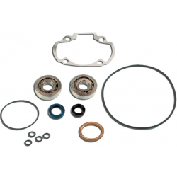 Kit cuscinetti Skf + guarnizioni cilindro Pgt H2O