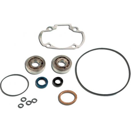 Skf Bearing Kit + Pgt H2O Cylinder Seals