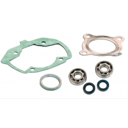 Kit cuscinetti Skf + guarnizioni cilindro Pgt Ludix air