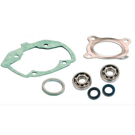 Skf Bearing Kit + Pgt Ludix air cylinder seals