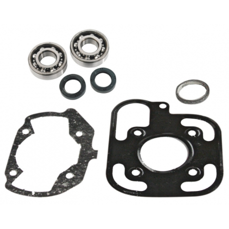 Skf Bearing Kit + Pgt Ludix H2O Cylinder Seals Skf Bearing Kit + Pgt Ludix H2O Cylinder Seals