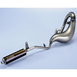 EXHAUST POLINI FOR PIAGGIO CIAO MOD. TOP-ONE WHIT ALLUM. SILENCER