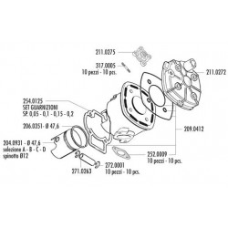 KIT YAMAHA-APRILIA-MALAGUT.H2O D.47,6 SP.12 EVOLUTION 3