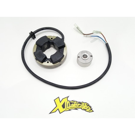 FLYWHEEL ROTOR+STATOR PLATE IDM MINIMOTARD POLINI