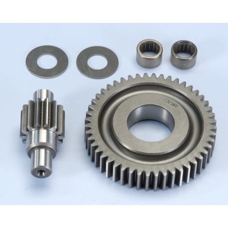 SECONDARY GEAR PIAGGIO Z14-48 BEARING model 99