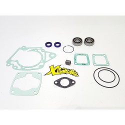 Kit revisione motore 4,2 hp POLINI