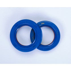 SERIE PARAOLI PTFE/FKM ALBERO MOTORE MINARELLI AM6