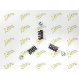 Polini 3G clutch springs...