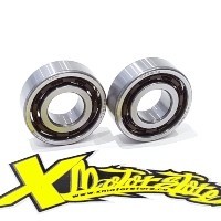 MINIMOTO ENGINE BEARINGS