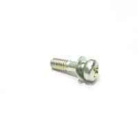 CARBURETOR SCREWS